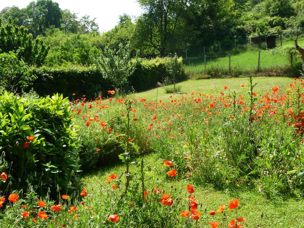 Maison D'Hotes Les Coquelicots Giverny Esterno foto